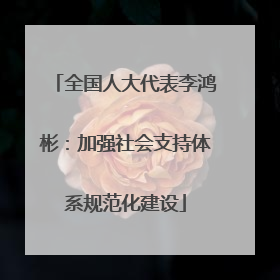 全国人大代表李鸿彬：加强社会支持体系规范化建设