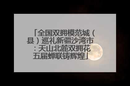 全国双拥模范城（县）巡礼新疆沙湾市：天山北麓双拥花 五届蝉联铸辉煌
