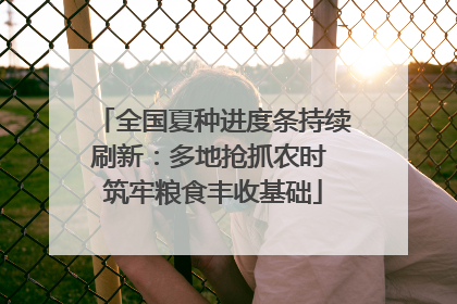 全国夏种进度条持续刷新：多地抢抓农时 筑牢粮食丰收基础