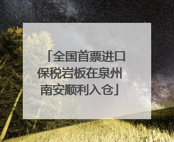 全国首票进口保税岩板在泉州南安顺利入仓