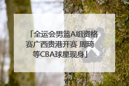 全运会男篮A组资格赛广西贵港开赛 周琦等CBA球星现身
