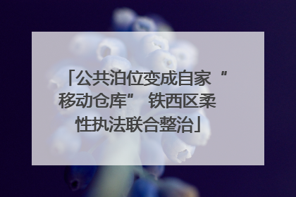 公共泊位变成自家“移动仓库” 铁西区柔性执法联合整治