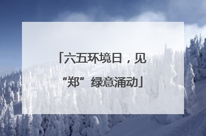 六五环境日，见“郑”绿意涌动