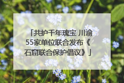 共护千年瑰宝 川渝55家单位联合发布《石窟联合保护倡议》