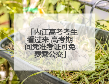 内江高考考生看过来 高考期间凭准考证可免费乘公交