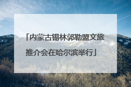 内蒙古锡林郭勒盟文旅推介会在哈尔滨举行