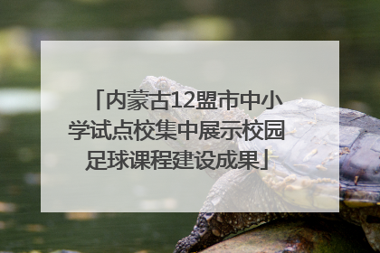 内蒙古12盟市中小学试点校集中展示校园足球课程建设成果