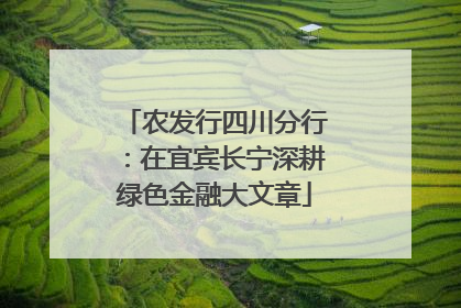 农发行四川分行：在宜宾长宁深耕绿色金融大文章