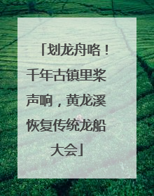 划龙舟咯！千年古镇里桨声响，黄龙溪恢复传统龙船大会