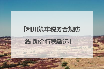 利川筑牢税务合规防线 助企行稳致远