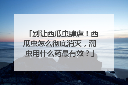 别让西瓜虫肆虐！西瓜虫怎么彻底消灭，潮虫用什么药最有效？