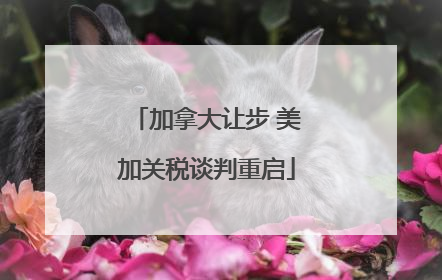 加拿大让步 美加关税谈判重启