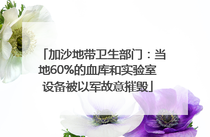 加沙地带卫生部门：当地60%的血库和实验室设备被以军故意摧毁