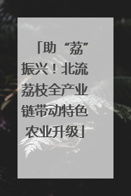 助“荔”振兴！北流荔枝全产业链带动特色农业升级
