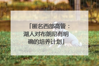 匿名西部高管：湖人对布朗尼有明确的培养计划