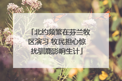 北约频繁在芬兰牧区演习 牧民担心惊扰驯鹿影响生计
