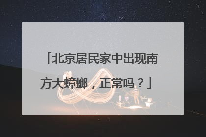 北京居民家中出现南方大蟑螂，正常吗？