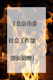 北京市委社会工作部部长调整