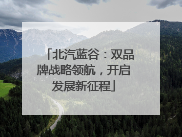 北汽蓝谷：双品牌战略领航，开启发展新征程