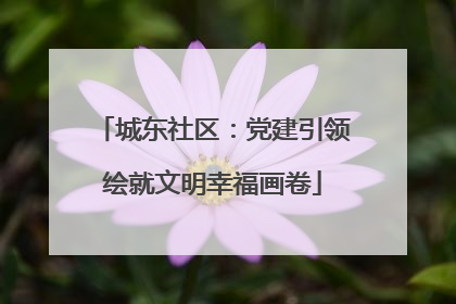 城东社区：党建引领绘就文明幸福画卷