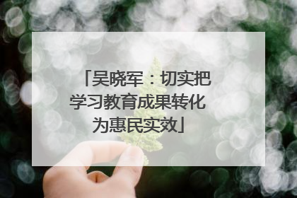 吴晓军：切实把学习教育成果转化为惠民实效