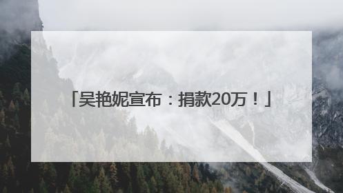 吴艳妮宣布：捐款20万！