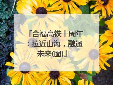 合福高铁十周年：拉近山海，融通未来(图)