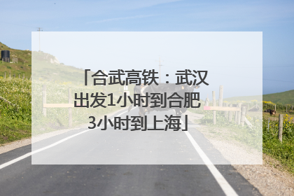 合武高铁：武汉出发1小时到合肥3小时到上海