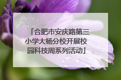 合肥市安庆路第三小学大杨分校开展校园科技周系列活动