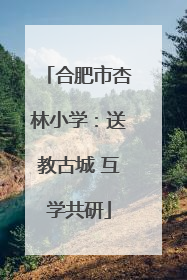 合肥市杏林小学：送教古城 互学共研