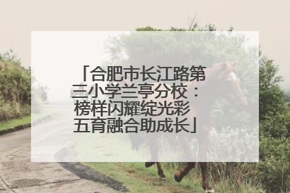 合肥市长江路第三小学兰亭分校：榜样闪耀绽光彩 五育融合助成长