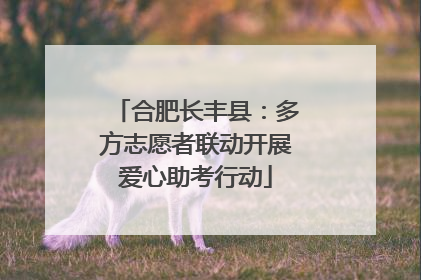 合肥长丰县：多方志愿者联动开展爱心助考行动