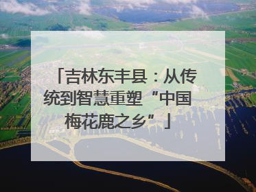 吉林东丰县：从传统到智慧重塑“中国梅花鹿之乡”
