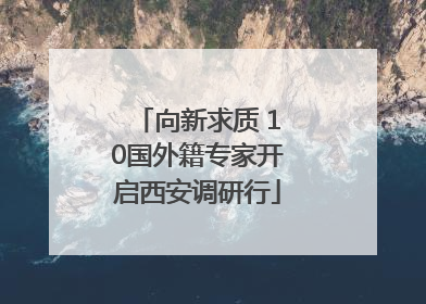 向新求质 10国外籍专家开启西安调研行