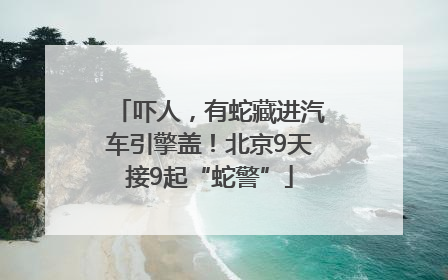 吓人，有蛇藏进汽车引擎盖！北京9天接9起“蛇警”