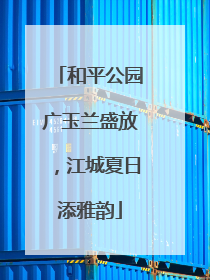 和平公园广玉兰盛放，江城夏日添雅韵