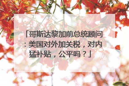 哥斯达黎加前总统顾问：美国对外加关税，对内猛补贴，公平吗？