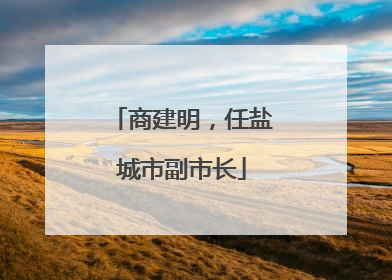 商建明，任盐城市副市长