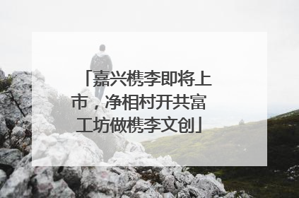 嘉兴槜李即将上市，净相村开共富工坊做槜李文创