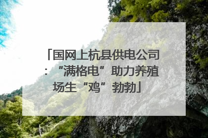 国网上杭县供电公司：“满格电”助力养殖场生“鸡”勃勃