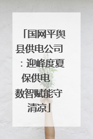 国网平舆县供电公司：迎峰度夏保供电  数智赋能守清凉
