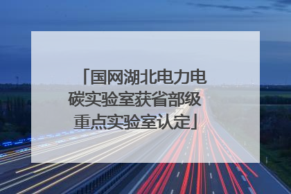 国网湖北电力电碳实验室获省部级重点实验室认定