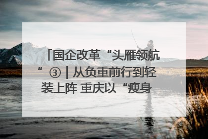 国企改革“头雁领航”③｜从负重前行到轻装上阵 重庆以“瘦身”谋“健体”