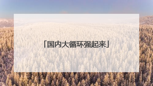 国内大循环强起来