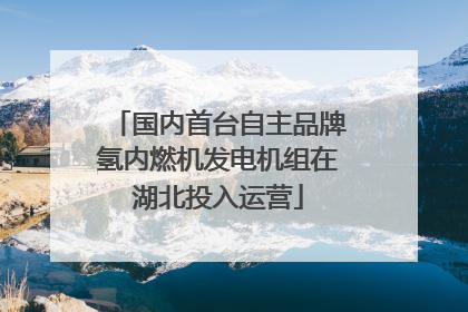 国内首台自主品牌氢内燃机发电机组在湖北投入运营