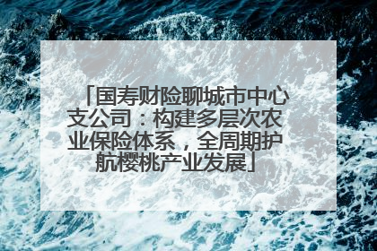国寿财险聊城市中心支公司：构建多层次农业保险体系，全周期护航樱桃产业发展