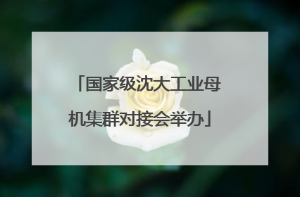 国家级沈大工业母机集群对接会举办
