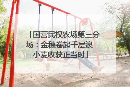 国营民权农场第三分场：金穗卷起千层浪 小麦收获正当时