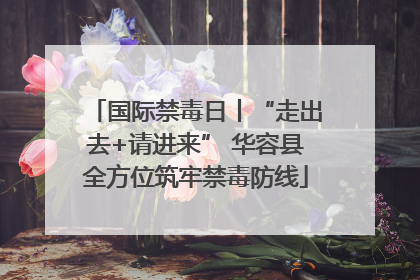 国际禁毒日丨“走出去+请进来” 华容县全方位筑牢禁毒防线