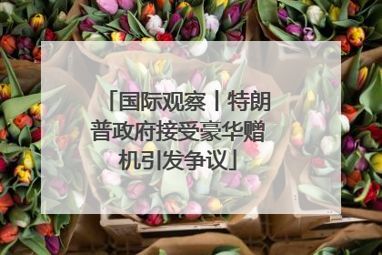 国际观察丨特朗普政府接受豪华赠机引发争议